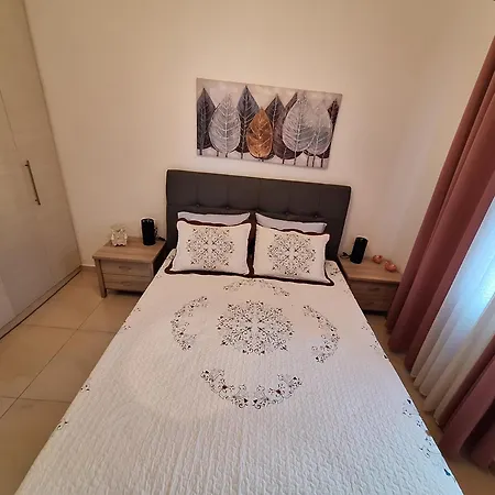 Mache's פטיטיריון